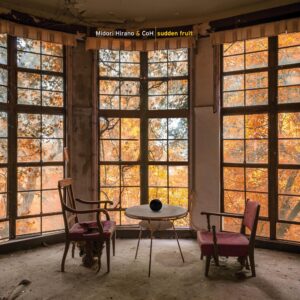 Sudden Fruit [Vinyl LP]